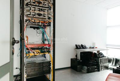 Tudor Vladimirescu - spatiu birouri clasa A, READY TO MOVE - 9