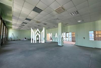 Birou, 300 mp în Mihai Viteazul