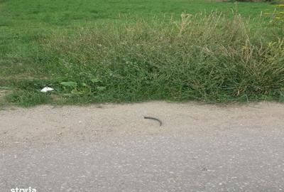 Spațiu comercial, în Galda de Jos - 4