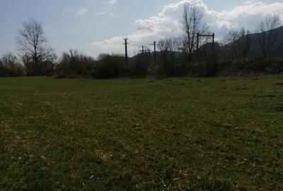 Teren intravilan Viisoara - 2