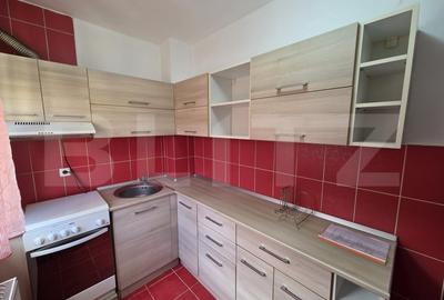 Apartament 1 camera, 32 mp, zona Florilor - 8