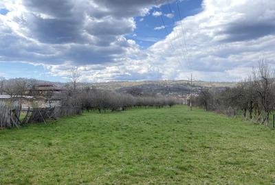 Teren în Pruni - 18