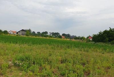 Teren de 2000 mp, în Păcurari - 2