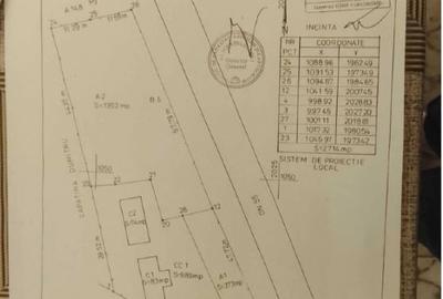 Teren Construcții intravilan de 2700 mp, în Dobrești - 2