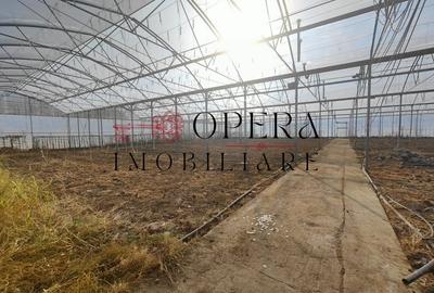 Teren Construcții intravilan de 5000 mp, în Aroneanu - 4