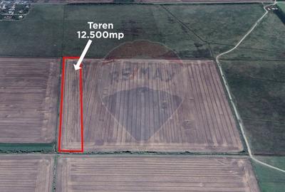 Teren agricol extravilan de 12500 mp, în Dumbrava - 1