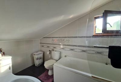 Vila + Afacere 15.000mp Clinceni - 22