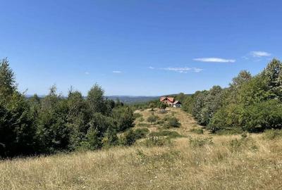 Teren Extravilan in mijlocul naturii. - 11