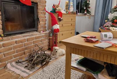 Casa Poiana 5 camere constructie 2022 - 4