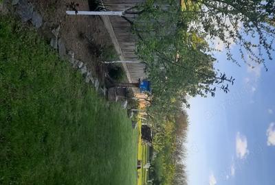 Casă cu 4 camere cu Teren 1000 Mp în Central - 9