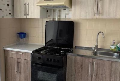 De inchiriat apartament cu o camera in zona Buziasului - 2