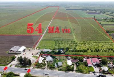 Oportunitate vie 54 ha la DN E85 - 1
