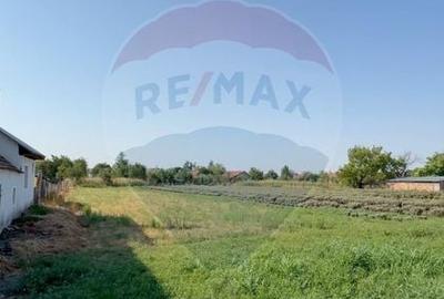 Teren Construcții intravilan de 1439 mp, în Bobda - 2