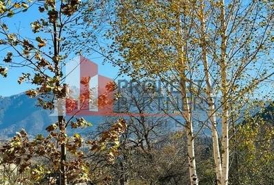 Teren Bran / Predelut cu priveliste 1840mp - 10