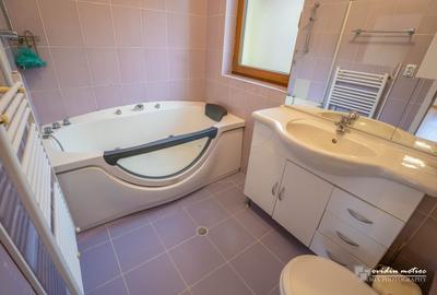 Duplex cu 3 camere cu Canalizare în Andrei Mureșanu - 14