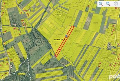 Teren de 4039 mp, în Borhanci - 3