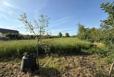 Teren de 3360 mp in exclusivitate, Sanmihaiu Roman, vedere la Bega