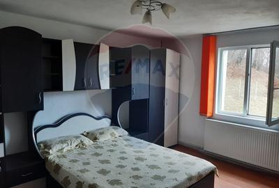 Casa / Vila cu 7 camere de vanzare in zona Tohanita - 12