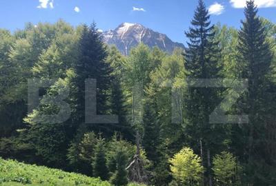 De vanzare, teren intravilan 10.000mp, Predeal - 1