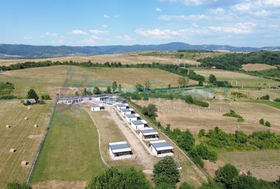 Gaminvest,Afacere de 4 stele de vanzare in Vadul Crisului, Bihor, Romania,V4254 - 16