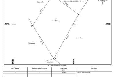 Teren de 1000 mp, în Muntele Băișorii - 2