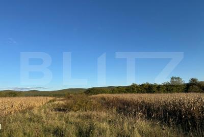 Teren de 1400 mp, în Brănișca - 1