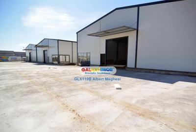 Hala Depozitare 565 mp Afumati - 4