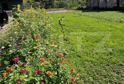 CASA IN VAMA BUZAULUI, 800 MP PRET 159900EURO, gata de mutat. - 8