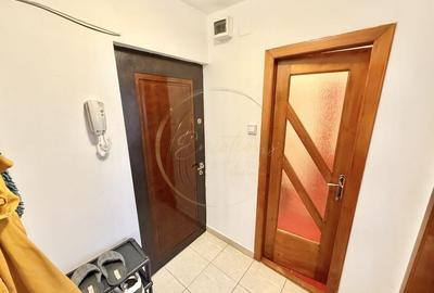 Garsonieră practică și accesibilă în zona Buziașului - 7