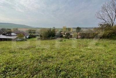 Teren intravilan, 4 506 mp, sat Craiesti