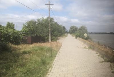 Teren vanzare Crisan 3600 mp Str Principala - 2
