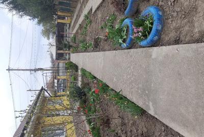 De vanzare, fara schimb - 1