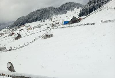 Teren Intravilan Fundata 1421Mp - 7