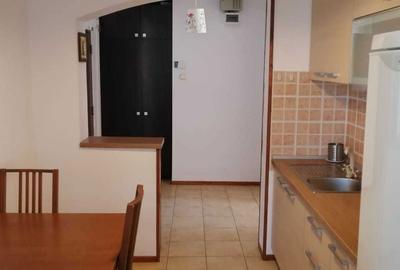Apartament cu 3 camere semidecomandat în Nicolae Grigorescu - 6