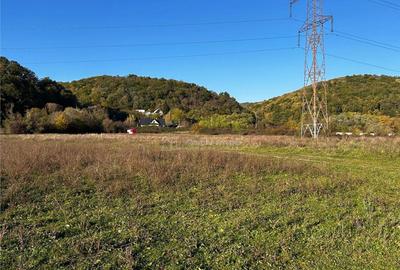 Bocsa Teren Intravilan 2754 Mp. - 1