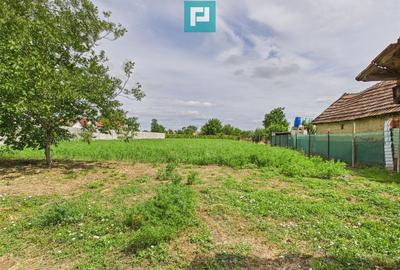 Casă cu 4 camere cu Teren 2171 Mp în Șimand - 2