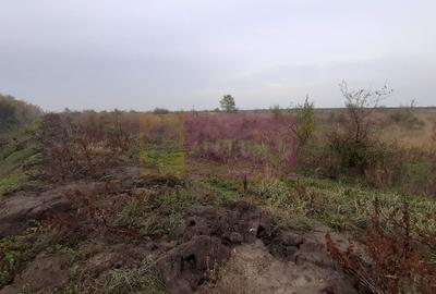 Teren agricol extravilan de 5000 mp, în Corbeanca - 12