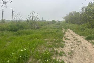 Teren de 46000 mp, în Central - 17