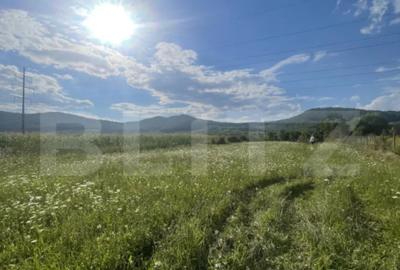 Teren de 1000 mp, în Viișoara - 2