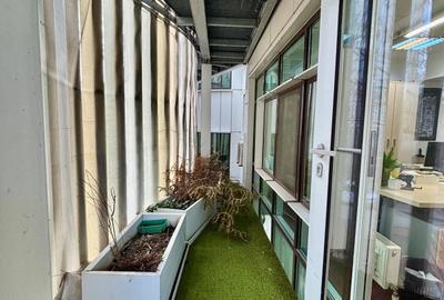 Vila  de inchiriat 11 camere  D+P+2 Timpuri noi 12 locuri de parcare 500 mp util - 23