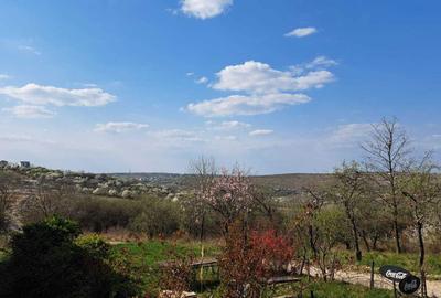 Spațiu comercial, în Spitalul Județean