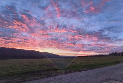 Casă cu 5 camere cu Teren 1000 Mp în Dobrovăț - 13