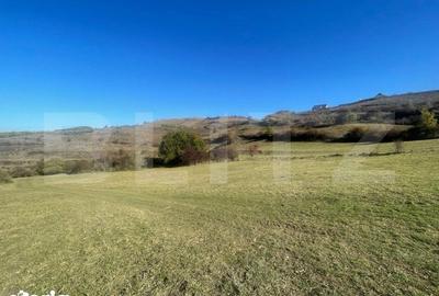 Teren de 998 mp, în Florești - 3