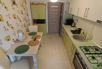 Apartament cu 2 camere decomandat, mobilat în Turnișor - 7