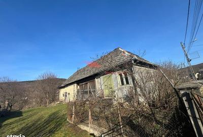 Casă cu 3 camere în Nireș - 1