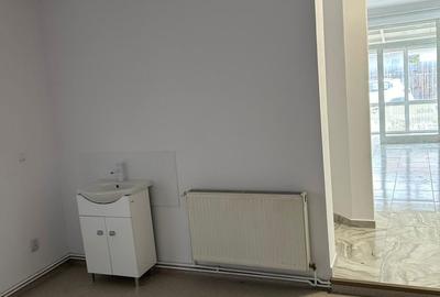 Spațiu comercial, de 100 mp, în Podu Roș - 11