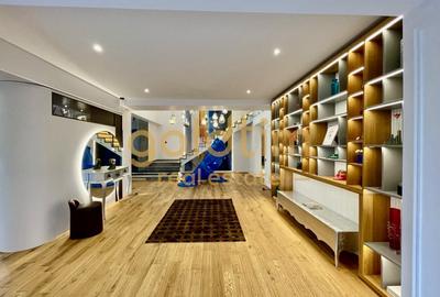 UNICA/ABSOLUT SUPERBA/ VILA INDIVIDUALA/IANCU NICOLAE/CURTE GENEROASA - 10