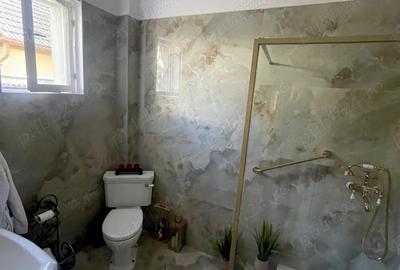 Casa individuala Musicescu. Timisoara - 10