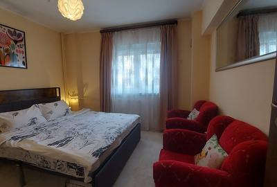 Apartament cu 2 camere semidecomandat în Timpuri Noi - 9