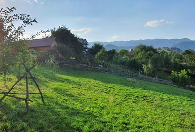 Teren pentru investitie sau casa de vacanta , Pestera , Brasov - 3